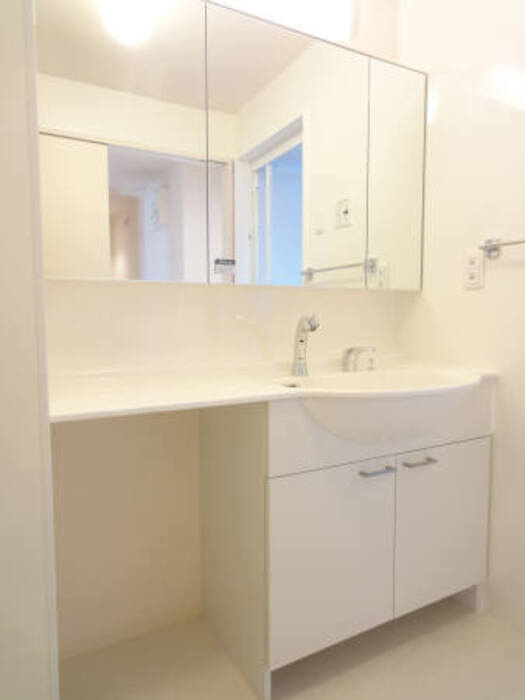 フラッツ福井東町の洗面所|201洗面台