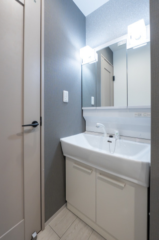 reve宇品西の洗面所