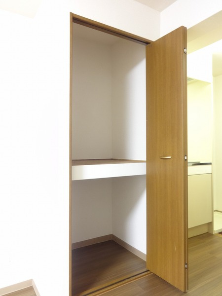 豊島区西巣鴨１丁目の賃貸マンションの収納
