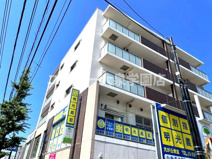 ボンソワールの画像