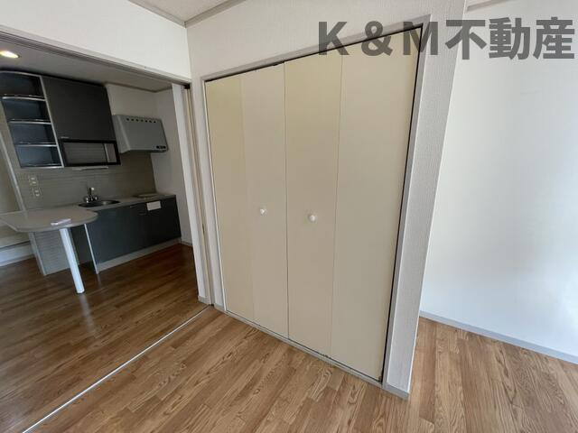 ドフィーヌ柏の収納|小物を収納するのに便利です