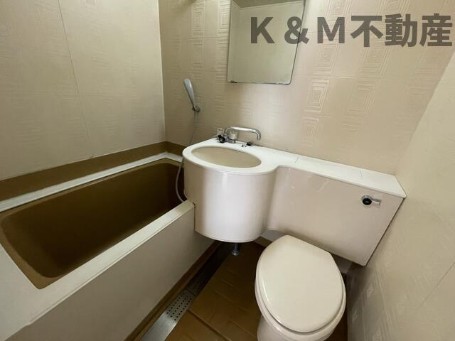 ドフィーヌ柏の浴室|きれいなお風呂です