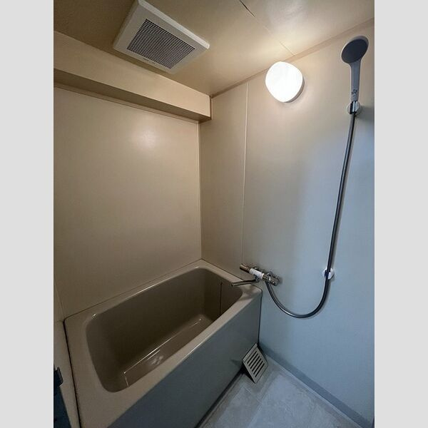 ヴィルヌーブ・ソシアの浴室