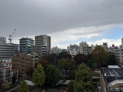 ＮＫ麹町コータースのその他|眺望