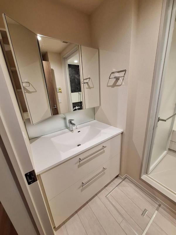 ルミナス田園調布の洗面所