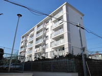 東芝杉田コーポ　A棟の画像