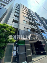 グリフィン横浜・ベイブリーズの画像