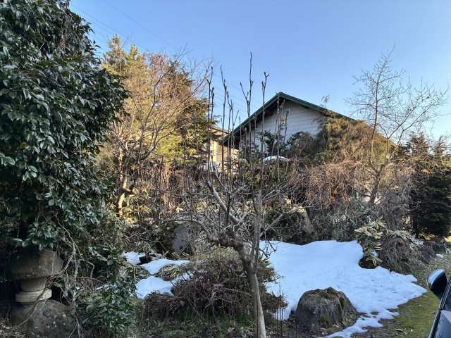 【中古住宅】中山町大字長崎字文新田戸建の庭