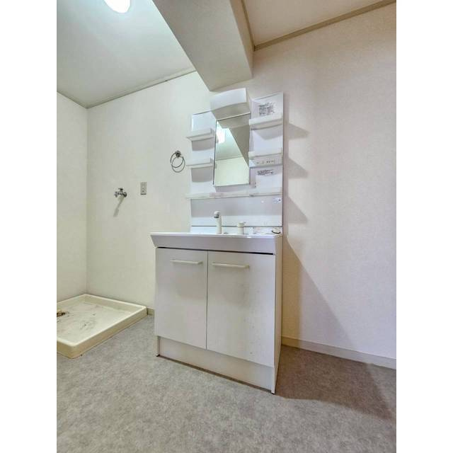 エスポアール石坂の洗面所