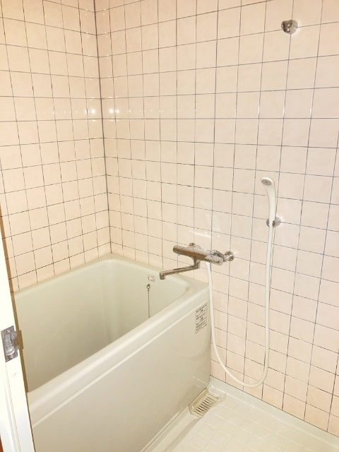 DRハウスⅡの浴室