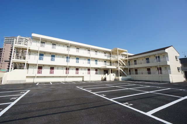 ハイムカメリア