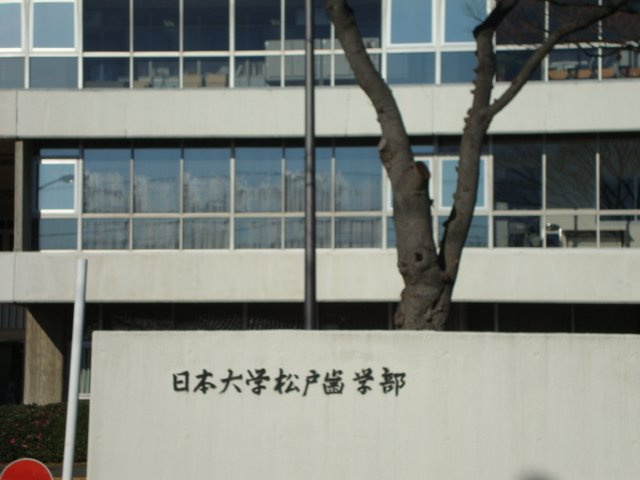 クレバーハウスの周辺|私立日本大学松戸歯学部まで954ｍ