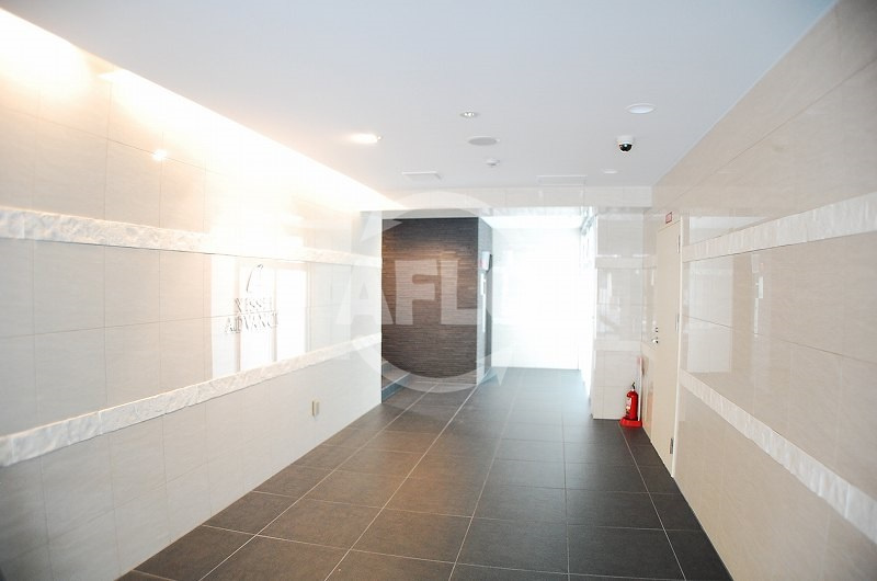 アドバンス難波ウインズのエントランス|アドバンス難波ウインズ　エントランス