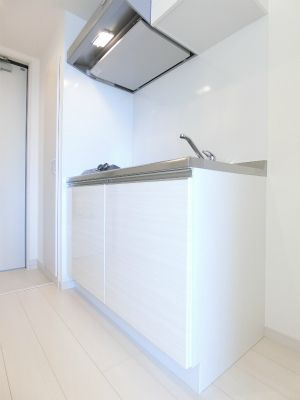 リブリ・リープステのキッチン