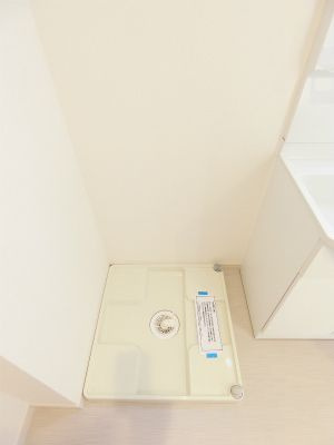 リブリ・リープステのその他