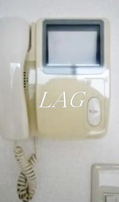 【セキュリティ】 | ドルフ | モニター付きインターホンです。