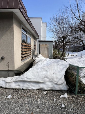 【庭】 | 中央区南18西11 山鼻エリア 一戸建 | 敷地南側