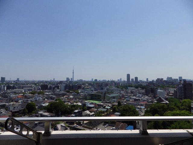 アトラスヒルズ文京白山の展望