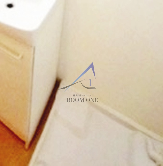 プエブロお茶ノ水の設備|洗濯機置き場です。