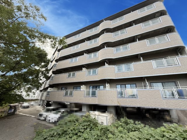 ドリームハウスⅢの外観