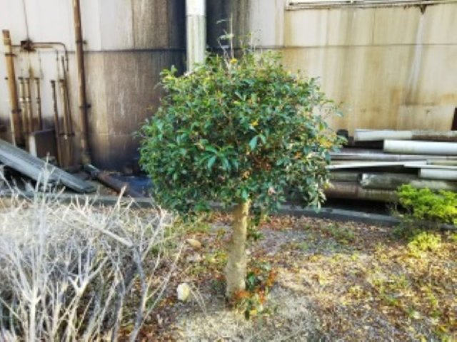 レオパレス甘木川のその他