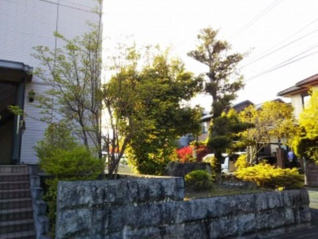 レオパレス希みが丘のその他