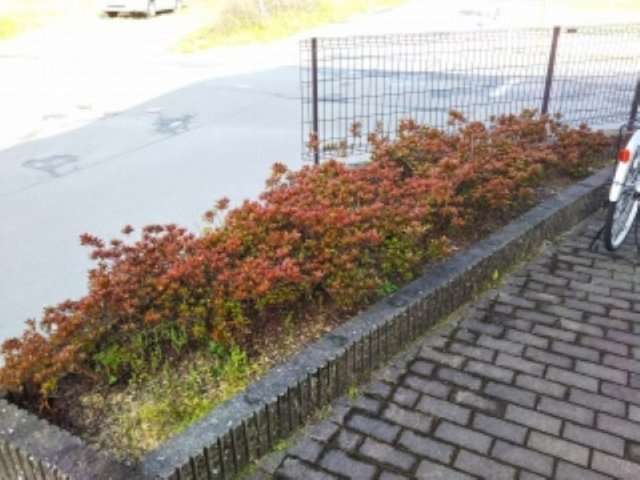 レオパレスオアシスのその他