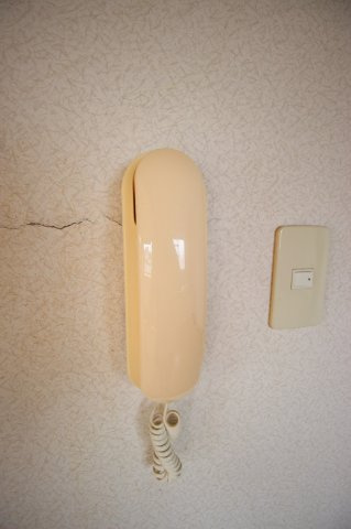 サースマンションのその他
