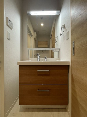 【洗面所】 | セントリビエ横浜都筑【SHM】 | 忙しい朝にあると嬉しいシャンプードレッサー完備！朝の準備もラクラク☆お化粧するときにも大活躍です！