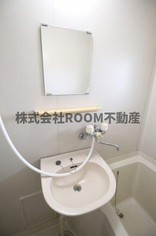 ノースルピナスのその他