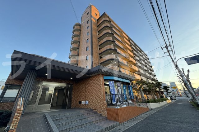 シロハイヌ今米