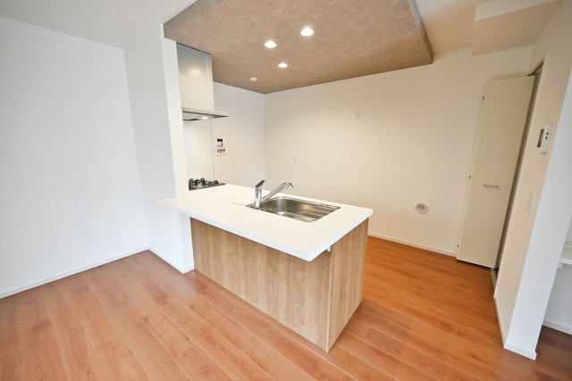 テラシエ尼崎市久々知1丁目新築一戸建て｜4LDK＋駐車1台可のキッチン|キッチン上部には折り下げ天井を配置し、空間にメリハリをつけています。又、ダウンライトを配置することで機能性のアップも図っています。