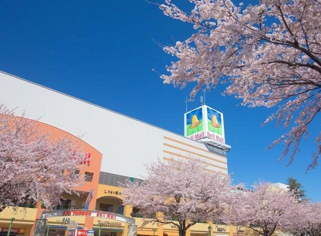 宇都宮市峰町　309.02㎡　売地の周辺|ベルモールまで1609m