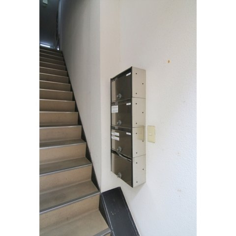 Ｋａｌｅｎ　ｌｕｃｅのその他