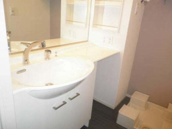 セジュールＮの洗面所