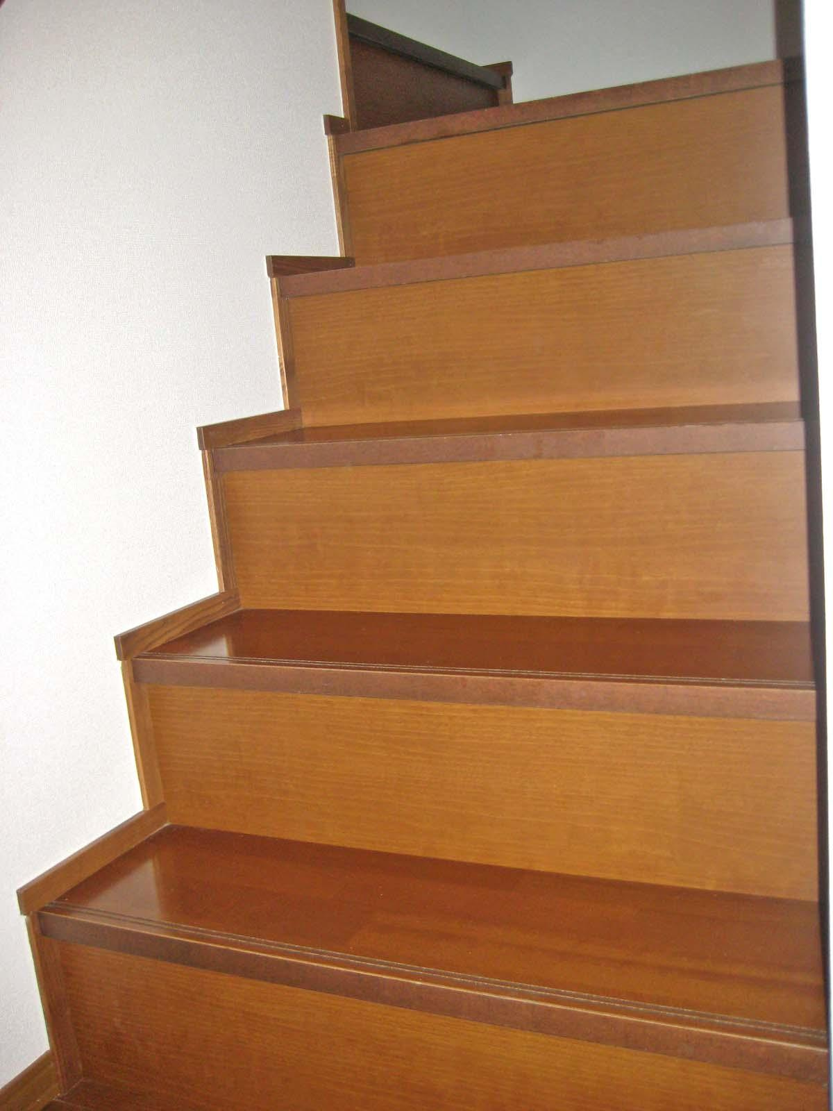 ウィルコートＳの設備|階段