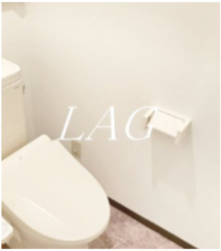 【トイレ】 | 新板橋ビューハイツ | トイレです。