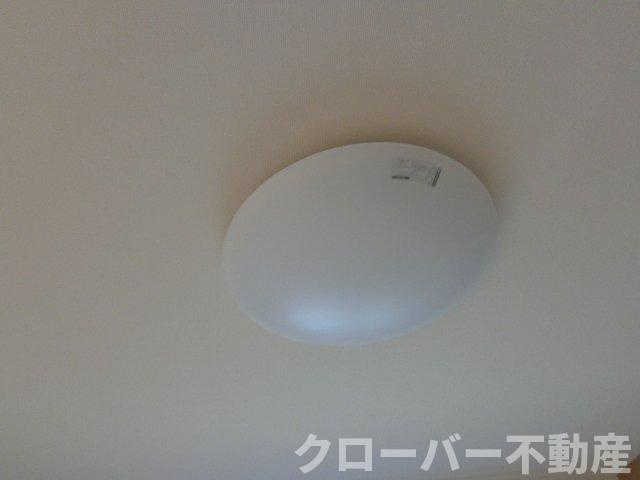 マリアージュのその他|照明