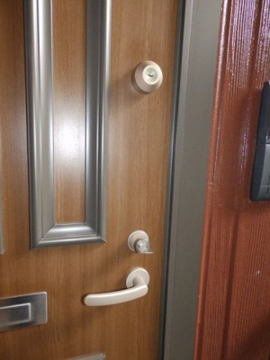 【その他】 | フロレスタ・Ｆ