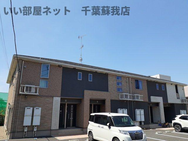 プリムローズＢ