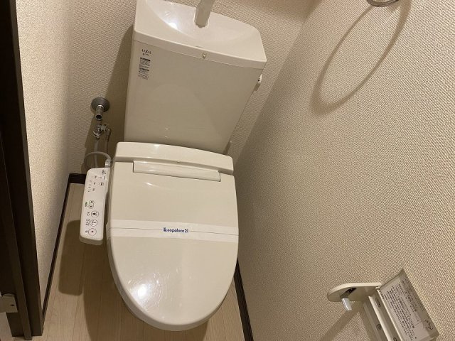 レオネクストミズキのその他