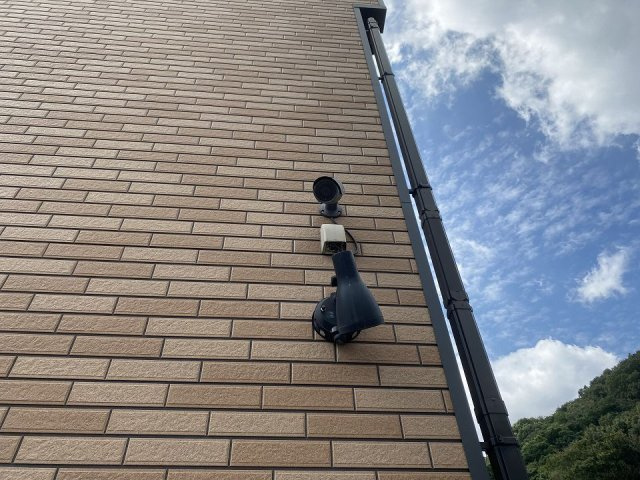 レオネクストミズキのその他