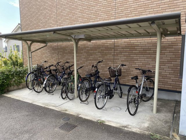 レオネクストミズキのその他