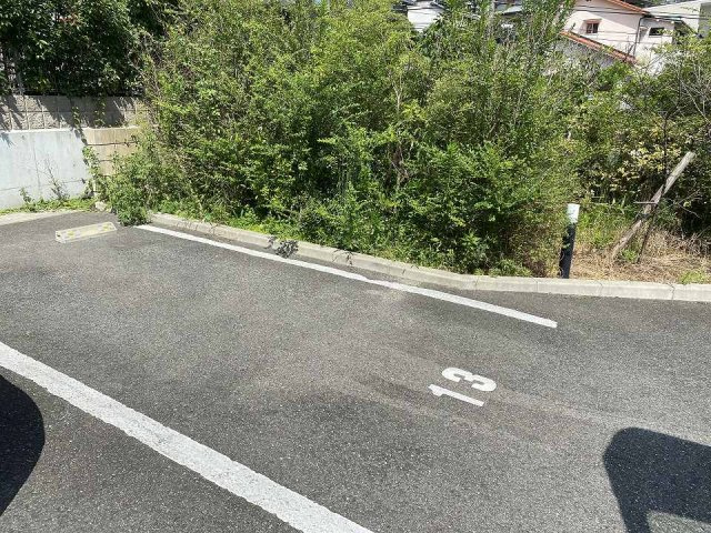 レオネクストミズキのその他