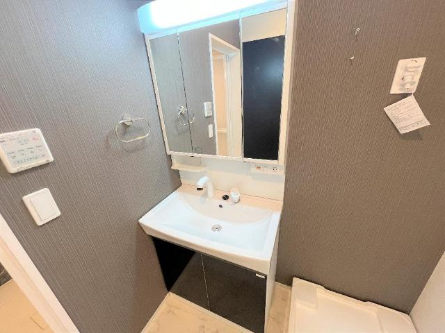 エッグプラントの洗面所|洗髪洗面化粧台（イメージ）