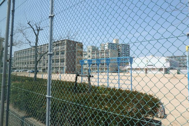 竜が台５丁目土地の周辺|竜が台小学校