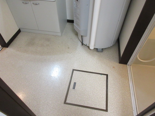 TOWN東2南25の洗面所