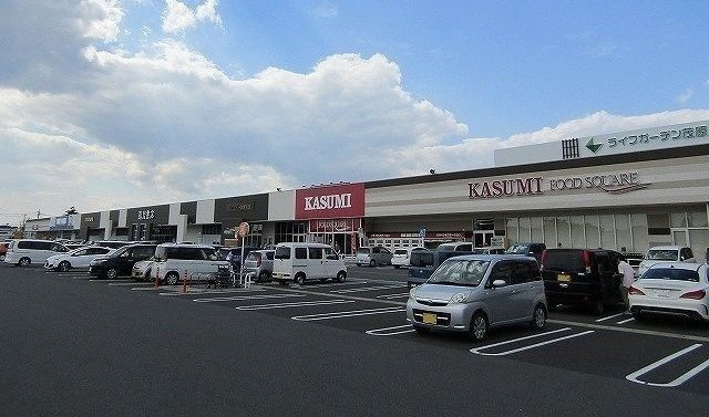 ライフガーデン茂原店まで700m