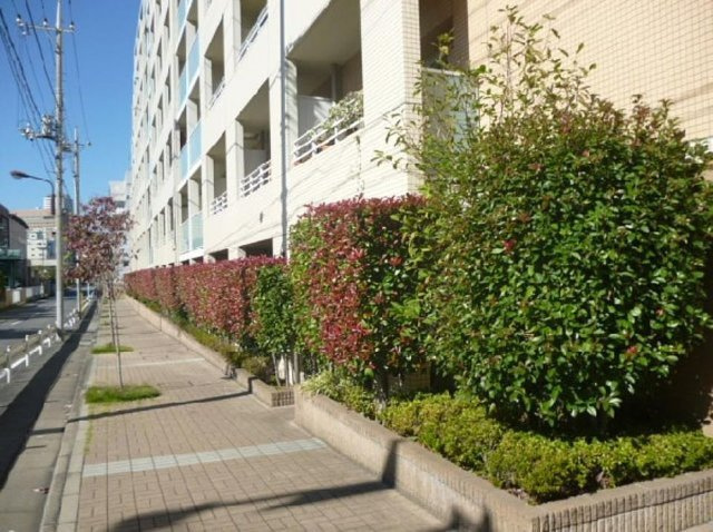 willDo清澄のその他共用部分