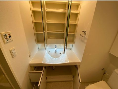 willDo清澄の洗面所